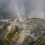 newzealand6